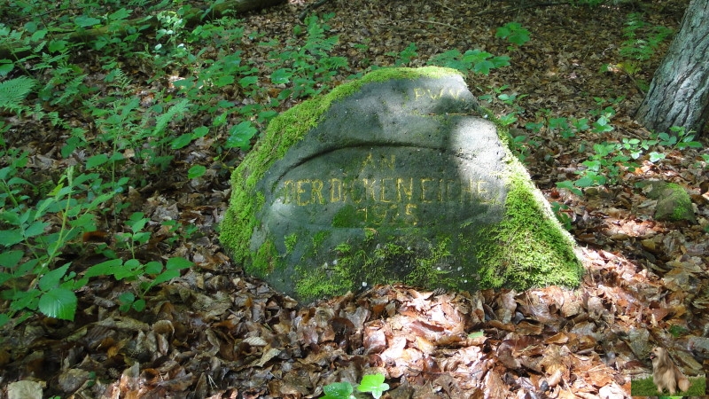 Ritterstein Nr. 168-2 An der dicken Eiche.JPG - Ritterstein Nr.168 An der dicken Eiche